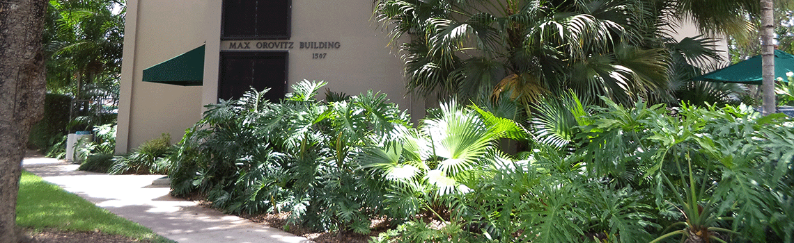 IIFC Outside View