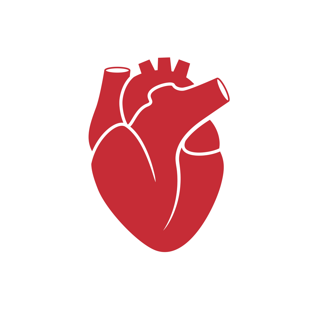 Laboratory assessment at the Vascular Function Laboratory